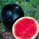 40 Seeds Sugar Baby 'Tangig' Black Watermelon