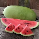 40 Seeds Charleston Grey Giant Long Watermelon