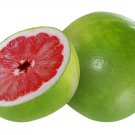 100 Seeds Citrus Maxima Pamplemousse Jabong Shaddock - Red Inside