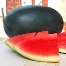 60 Seeds Black Skin Long Red Watermelon