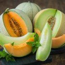 20 Seeds Green White Sweet Melon