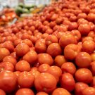 200 Seeds Light Orange Big Juicy Tomato