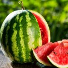 40 Seeds Inside Sweet Big Watermelon F1 'Wu Hei'