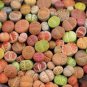 10 Mix Lithops Living Stone Random Plant Size 0.6"-07â Bare Root