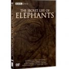 The Secret Life of Elephants DVD