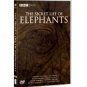 The Secret Life of Elephants DVD