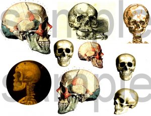 Antique SKULL Images Digital Collage Sheet