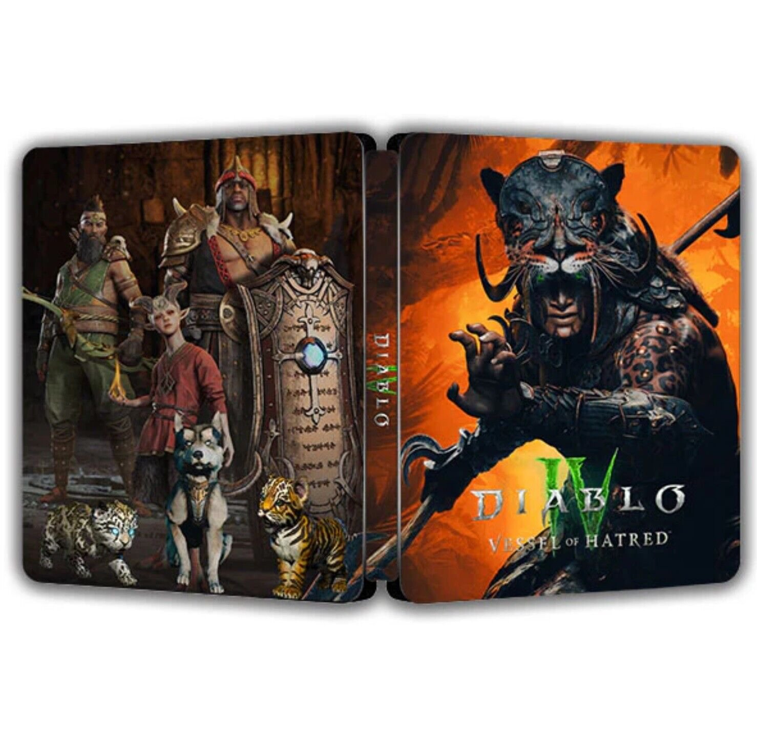 New Diablo IV D4 Vessel of Hatred SPIRITBORN Edition  Steelbook Case Custom Made