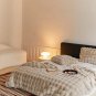 Anycozy Thick Fur Winter Sofa Bed Blanket