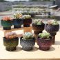 ANYDECO Flower Vase 8Pcs Set Starry Sky Speckled Succulent Plant Pot Home Office Decor