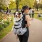 Anypet XL Light Gray Pet Carrier Backpack for Medium to Large Dogs with Pockets