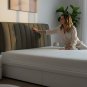 Anycozy Dark Gray Quilted Velvet Headboard Cover 200x70cm Soft Plush Bed Protector