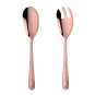 Anygleam Rose Gold Salad Spoon and Fork Set – Stainless Steel 2pcs