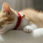 ANYWAGS Cat Collar Red Bow with Bell, Safety Buckle & Durable Strap, Small