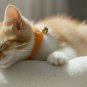 ANYWAGS Cat Collar Orange Bow with Bell, Safety Buckle & Durable Strap, Small