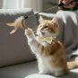 ANYWAGS Cat Collar Off White Bow with Bell, Safety Buckle & Durable Strap, Small