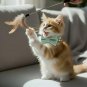ANYWAGS Cat Collar Jade Bow with Bell, Safety Buckle & Durable Strap, Large