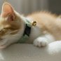 ANYWAGS Cat Collar Jade Bow with Bell, Safety Buckle & Durable Strap, Large