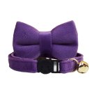 ANYWAGS Cat Collar Violet with Bell, Safety Buckle & Durable Strap, Small
