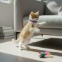 ANYWAGS Cat Collar Violet with Bell, Safety Buckle & Durable Strap, Small