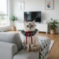 ANYWAGS Pet Collar Green Santa Hat Christmas Lace Silk Ribbon Scarf Dog Cats Holiday Accessories