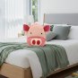 ANYKIDZ 3D Pink Pig Kids Backpack, Cute Cartoon Plush Bag for Boys & Girls