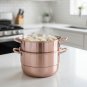 Anygleam Rose Gold 3-Layer Stainless Steel Food Steamer, Universal for Gas & Induction