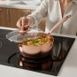 Anygleam Rose Gold Non-Stick Stainless Steel Stock Pot with Lid, Universal Cooker