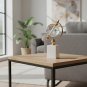 ANYHOUZ 26cm Modern Creative Glass Globe, Tabletop Home Decor Metal Ornament