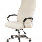 Anyseat Office Chair Cover Ivory Velvet Zippered Stretchable High Back Protector Slipcover Anyseat Office Chair Cover Ivory Velvet Zippered Stretchable High Back Protector Slipcover