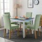 Anyseat Chair Cover Light Green Velvet Plush Slipcover for Dining Kitchen