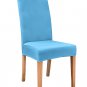 Anyseat Chair Cover Sky Blue Velvet Plush Slipcover for Dining Kitchen