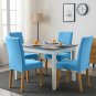 Anyseat Chair Cover Sky Blue Velvet Plush Slipcover for Dining Kitchen