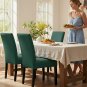Anyseat Chair Cover, Green, Elastic, Waterproof, Anti-Dirt, Dining & Event Use