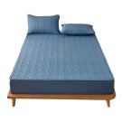 Anycozy Mattress Cover, Blue, Twin/Double/Queen/King, Cotton, Quilted, Anti-Bacterial Anycozy Mattress Cover, Blue, Twin/Double/Queen/King, Cotton, Quilted, Anti-Bacterial