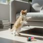 ANYWAGS Stylish Off White Cat Collar &acirc;�� Small Size with Safety Buckle, Bell & Durable Strap