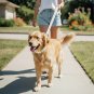 ANYWAGS Dog Collar Leash Setâ White Rope Lead for Training & Walking