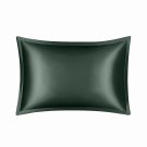 ANYHOUZ Green Pure Silk Pillowcase, XL/L/S, Soft Smooth Luxury Bedding