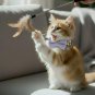 Anypet Stylish Light Purple Bow Cat Collar &acirc;�� Large Size with Safety Buckle, Bell & Durable Strap
