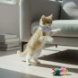 Anypet Stylish Light Purple Bow Cat Collar &acirc;�� Large Size with Safety Buckle, Bell & Durable Strap