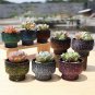 ANYDECO Flower Vase Speckled Orange Small Succulent Plant Pot Home Office Decor