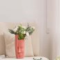 ANYDECO Flower Vase Pink Large Half Face Nordic Plastic Pot Table Decor