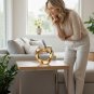 ANYDECO Figurine Gold Apple Nordic Home Decor Sculpture and Ornament