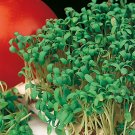 CRESS "CURLED" SEEDS FRESH GARDEN MICRO-GREENS US NON-GMO (Lepidium sativum) CRESS "CURLED" SEEDS FRESH GARDEN MICRO-GREENS US NON-GMO (Lepidium sativum)