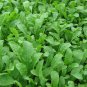 Arugula Rocket (Eruca vesicaria ssp. sativa) 1 Gram Seeds for Planting NON-GMO-Open Pollinated