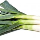 American Flag Leek, big onion (Allium porrum) Grown 300mg seeds for Planting