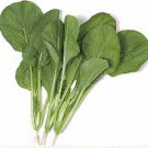 Mustard Green Spinach Komatsuna Tendergreen (Brassica rapa var. perviridis) 500mg Seeds for planting