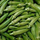 OKRA Clemson Spineless Green 5 gram Seeds for Planting