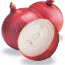 Onion Red Burgundy Short Day (Allium cepa) 300mg Seeds for Planting Onion Red Burgundy Short Day (Allium cepa) 300mg Seeds for Planting