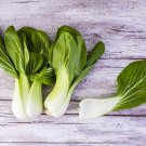 Dwarf Pak Choi - Baby Bok Choy (Brassica rapa var. chinensis) 500mg Seeds for planting